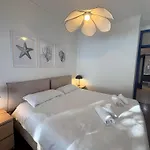 Vista Blu *